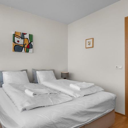 Baldursbrá Apartment Hverfisgata Reikiavik Exterior foto